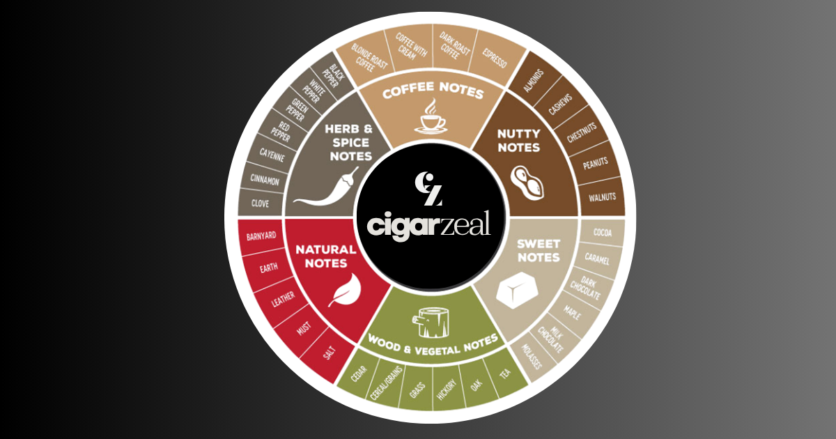 Taste Series: Understanding the Cigar Tasting Wheel